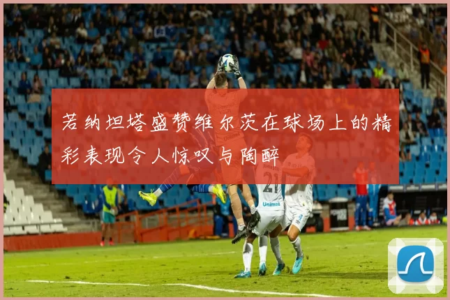 若纳坦塔盛赞维尔茨在球场上的精彩表现令人惊叹与陶醉