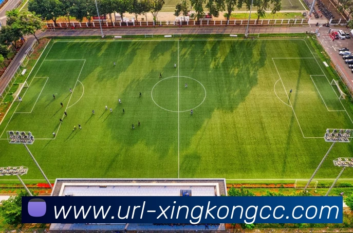 App Interface Preview