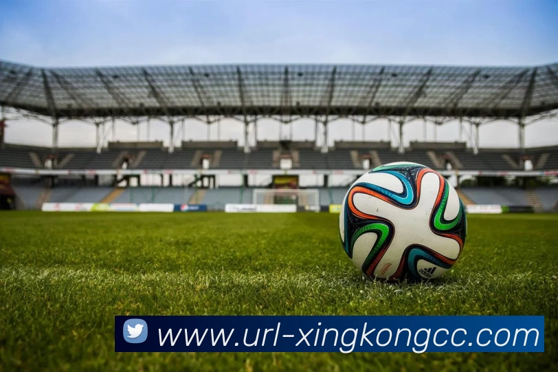 星空体育APP 封面图