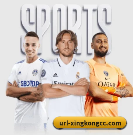 平台简介 - 体育资讯内容服务 | XINGKONGSPORT